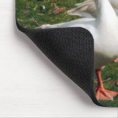 Drie ganzen een Strutting - Mousemat. Aanpassen. Muismat (Hoek)
