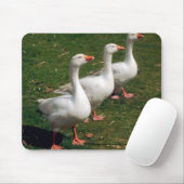 Drie ganzen een Strutting - Mousemat. Aanpassen. Muismat (Met muis)