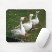 Drie ganzen een Strutting - Mousemat. Aanpassen. Muismat (Met muis)