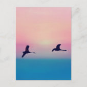 Drie ganzen in vlucht briefkaart (Voorkant)