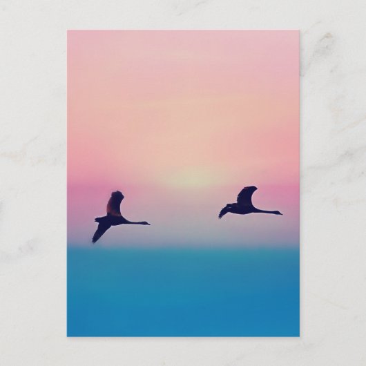 Drie ganzen in vlucht briefkaart (Voorkant)