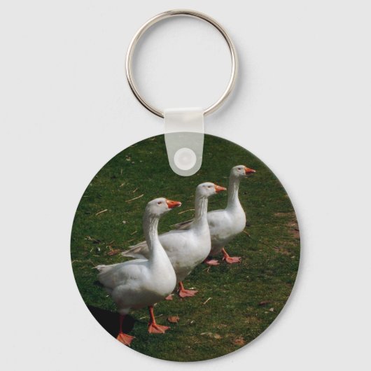 Drie ganzen | Keyring Sleutelhanger (Voorkant)