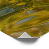 drie ganzen zwemmen poster (Hoek)