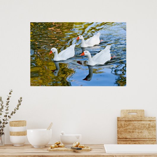 drie ganzen zwemmen poster (Keuken)