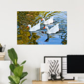 drie ganzen zwemmen poster (Thuiskantoor)