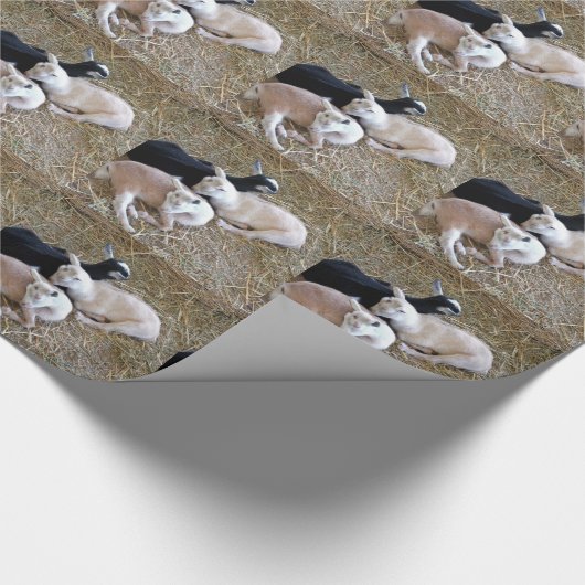 Drie geiten cadeaupapier (Hoek)