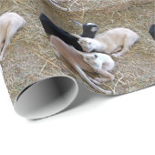 Drie geiten cadeaupapier (Rol Hoek)