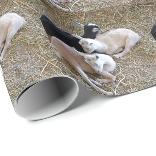 Drie geiten cadeaupapier (Rol Hoek)