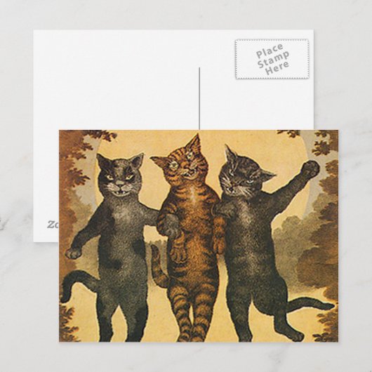 Drie gekke gemene katten  illustratie briefkaart (Voorkant / Achterkant)