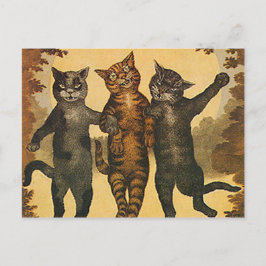 Drie gekke gemene katten  illustratie briefkaart