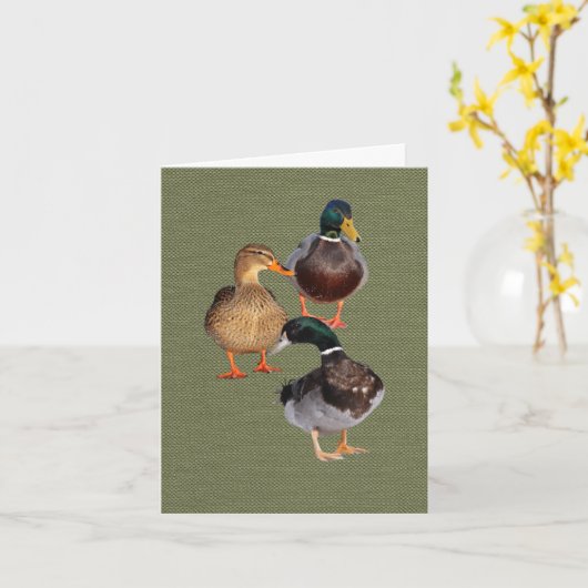 Drie gekke wilde eenden Folded Wenskaart Kaart (Gele Bloem)