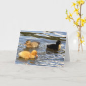 Drie gekleurde eendjes kaart (Gele Bloem)
