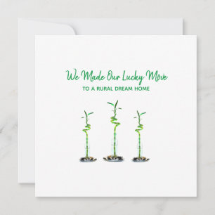 Drie gekruiste Lucky Bamboo die we hebben aangekon Kaart