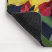 Drie Gele en Rode Orchideeën Muismat (Hoek)