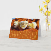 Drie gele kippen, geel en Oranje Pasen Kaart (Gele Bloem)