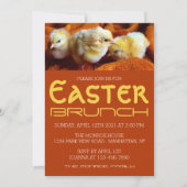 Drie gele kippen, geel en Oranje Pasgeborenen Aankondiging (Voorkant)