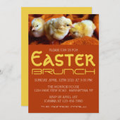 Drie gele kippen, geel en Oranje Pasgeborenen Aankondiging (Voorkant / Achterkant)