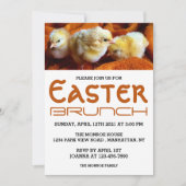 Drie Gele Kippen, Oranje & White Paasbrunch Aankondiging (Voorkant)