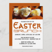 Drie Gele Kippen, Oranje & White Paasbrunch Aankondiging (Voorkant / Achterkant)