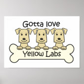 Drie gele labs poster (Voorkant)