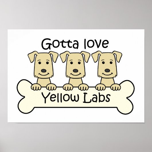 Drie gele labs poster (Voorkant)