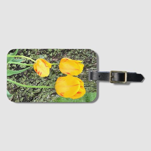 Drie gele tulpen / bagagelabel (Voorkant (horizontaal))