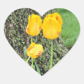 Drie gele tulpen / hart sticker (Voorkant)