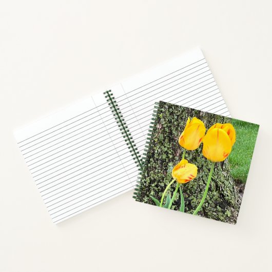 Drie gele Tulpen / Journal Notitieboek (Binnen)