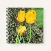 Drie gele Tulpen / Journal Notitieboek (Voorkant)