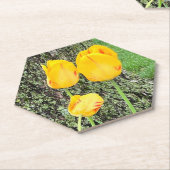 Drie gele tulpen / kartonnen onderzetters (Schuin)