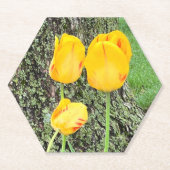 Drie gele tulpen / kartonnen onderzetters (Voorkant)