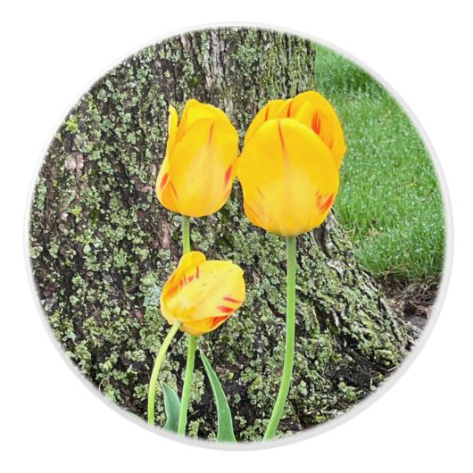 Drie gele tulpen / keramische knop (Voorkant)