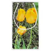 Drie gele tulpen / klein cadeauzakje (Achterkant)