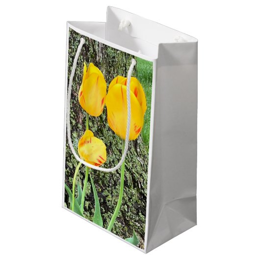 Drie gele tulpen / klein cadeauzakje (Achterkant Gekanteld)