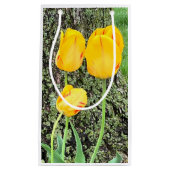 Drie gele tulpen / klein cadeauzakje (Voorkant)