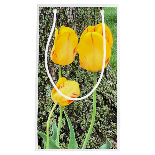 Drie gele tulpen / klein cadeauzakje (Voorkant)