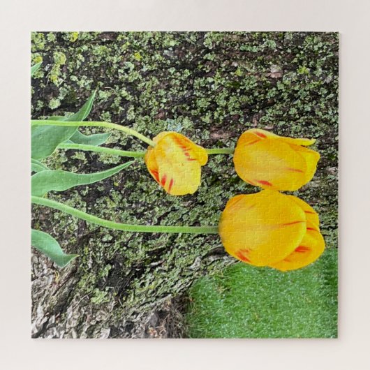 Drie gele tulpen / legpuzzel (Horizontaal)