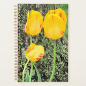 Drie gele tulpen / planner (Voorkant)