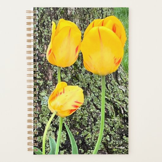 Drie gele tulpen / planner (Voorkant)