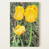 Drie gele tulpen / planner (Achterkant)