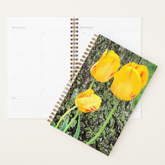 Drie gele tulpen / planner (Display)