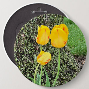 Drie gele tulpen / ronde button 6,0 cm