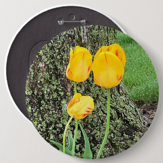 Drie gele tulpen / ronde button 6,0 cm (Voorkant /achterkant)