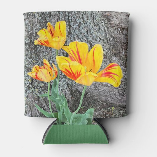 Drie gele Tulpen Sequel / Blikjeskoeler (Voorkant)