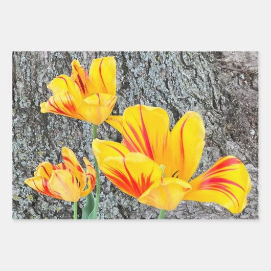 Drie gele Tulpen Sequel / Inpakpapier Vel (Voorkant 3)