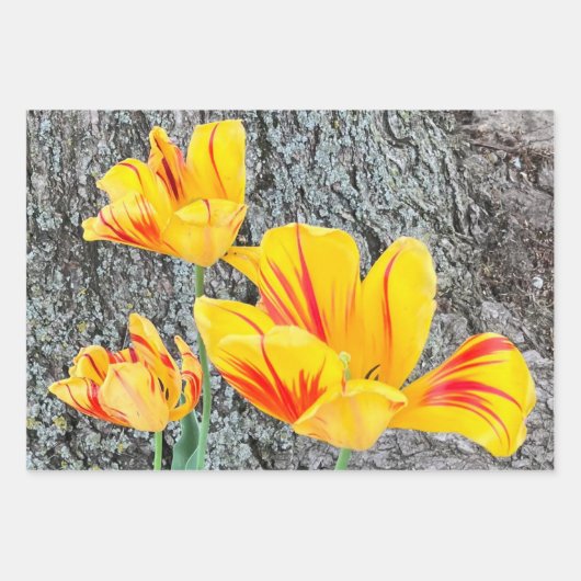 Drie gele Tulpen Sequel / Inpakpapier Vel (Voorkant 2)