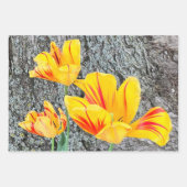 Drie gele Tulpen Sequel / Inpakpapier Vel (Voorkant)