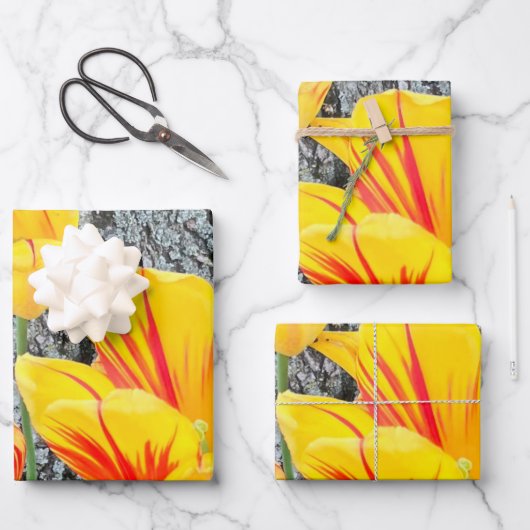 Drie gele Tulpen Sequel / Inpakpapier Vel (Voorkant)