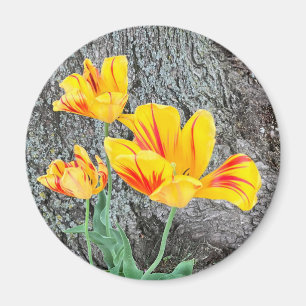Drie gele Tulpen Sequel / Magneet