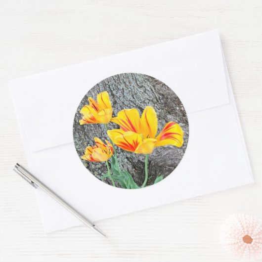 Drie gele Tulpen Sequel / Ronde Sticker (Envelop)